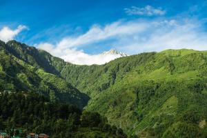 Priroda u blizini hostela