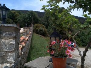 een pot bloemen op een stenen muur bij Pasithea Mountain Chalet in Feneos