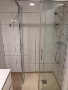 a shower with a glass door in a bathroom at La Casona del Eboni in Alcalá de Henares