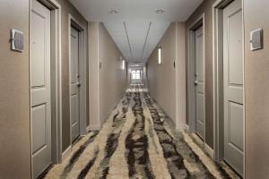 Foto de la galería de Homewood Suites By Hilton Louisville Airport en Louisville