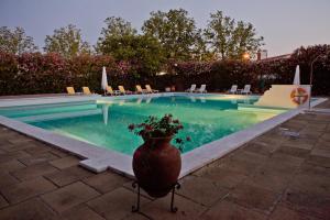 una grande piscina con un vaso di fiori accanto di SL Hotel Santa Luzia – Elvas a Elvas