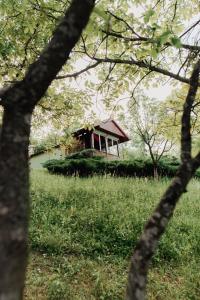 une petite maison au milieu d'un champ dans l'établissement Holiday home Nanin konak 2, à Vrdnik