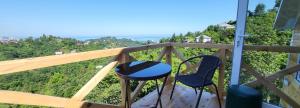 einen Balkon mit 2 Stühlen und Blick auf einen Hügel in der Unterkunft VILLA GANTIADI in Batumi