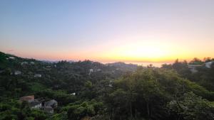 einen Blick auf einen Wald mit Sonnenuntergang im Hintergrund in der Unterkunft VILLA GANTIADI in Batumi