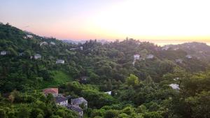 eine Luftansicht eines Hügels mit Häusern und Bäumen in der Unterkunft VILLA GANTIADI in Batumi