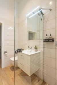 Soulscape Apartments LOFT Zwickau CityCenter mit TG-Stellplatz, Magenta-TV und Klima tesisinde bir banyo