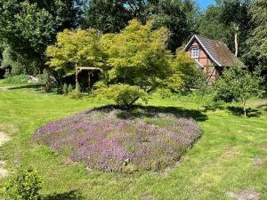 een veld met paarse bloemen voor een huis bij Steffens Hof in Worpswede