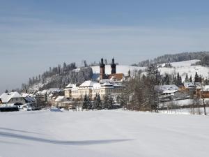 een besneeuwd veld met een stad op de achtergrond bij Gasthof Restaurant Bürgerstüble in Sankt Peter