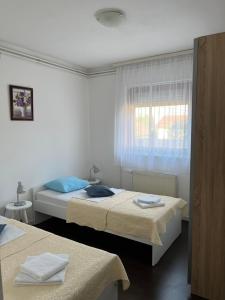 een slaapkamer met 2 bedden en een raam bij Apartment T&M Zagreb Airport in Velika Gorica