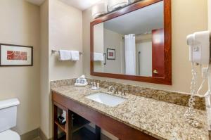 Comfort Inn & Suites Christiansburg I-81衛浴