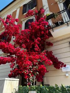 een bos rode bloemen aan de zijkant van een gebouw bij Mariviva Guest House in Terracina