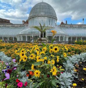 une véranda avec un champ de fleurs devant elle dans l'établissement Modern apartment, sleeps 6, Belfast city centre, à Belfast