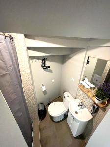 La salle de bains est pourvue de toilettes, d'un lavabo et d'un miroir. dans l'établissement Šiauliu apartamentai, à Šiauliai