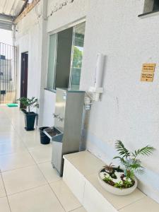 ein Zimmer mit Topfpflanzen auf einer Theke in der Unterkunft Hostel Meio do Mundo in Macapá