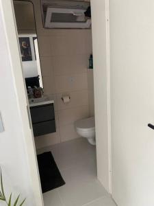 La petite salle de bains est pourvue de toilettes et d'un lavabo. dans l'établissement Stilvolle 1-Zimmer Wohnung mit Terasse nahe Therme und Prezero Arena, à Sinsheim