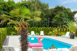 einen rosa Flamingo in einem Pool neben einer Palme in der Unterkunft Domki Piaskowa11 Palm Resort & Wellness in Łeba