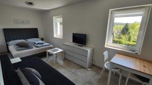 Televizors / izklaižu centrs naktsmītnē Apartmán Lipno