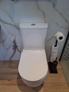 - des toilettes blanches dans une salle de bains avec un rouleau de papier toilette dans l'établissement Hotel Artetxe, à Bilbao