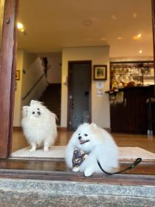 a reflection of two white dogs in a mirror at Pousada das Lavandas in Campos do Jordão