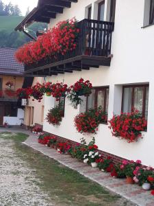 A garden outside Casa Flavius