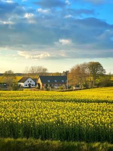 Un paisaje natural cerca of the bed and breakfast