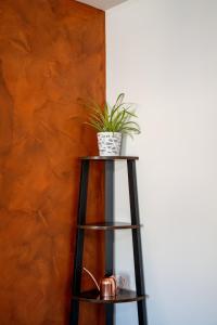 a black shelf with a potted plant on it at Gwuni Mopera in Leipzig