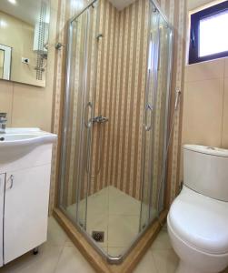 a bathroom with a shower with a toilet and a sink at Fimi Apartments in Ulcinj