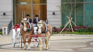 Гости, отседнали в Auberge Discovery Bay Hong Kong