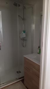 a bathroom with a shower and a white sink at El Colmenar Habitaciones in Madrid