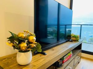 Modern apartment with water view in Geelong TV 또는 엔터테인먼트 센터