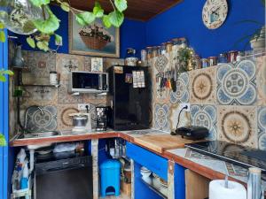 een keuken met blauwe muren en een aanrecht bij Loft con jardin in Madrid