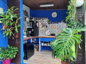 een keuken met blauwe muren en een aanrecht met planten bij Loft con jardin in Madrid