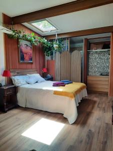 een slaapkamer met een groot bed en een dakraam bij Loft con jardin in Madrid