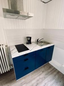 Kuchyň nebo kuchyňský kout v ubytování Appartement hyper centre