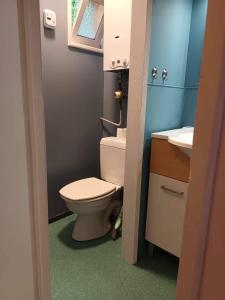 een badkamer met een toilet en een wastafel bij Au repos de Zoé in Waulsort