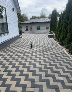 a cat walking on a brick driveway in front of a house at Silja in Pärnu