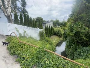 a black cat is standing next to a creek at Silja in Pärnu