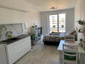 Apartmán Šantova 주방 또는 간이 주방