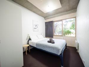 - une chambre avec un lit et une fenêtre dans l'établissement YHA Apollo Bay Eco, à Apollo Bay