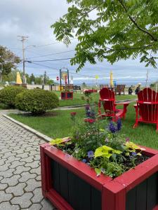 una scatola rossa con dei fiori in un parco di Hotel Le Pionnier a Tadoussac