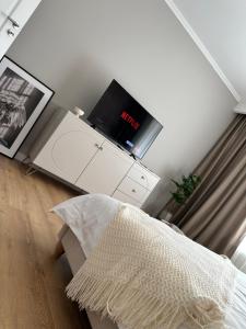 A television and/or entertainment centre at Apartament Bisera Timisoara