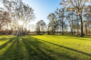 a field of grass with the sun in the background at Springbank House in Jindy Andy