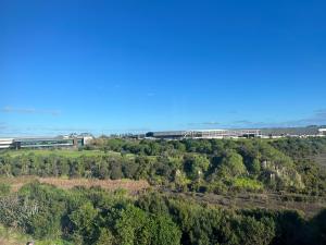 オークランドにあるManha Hotel Auckland Airportの木立の丘の上の建物の空中