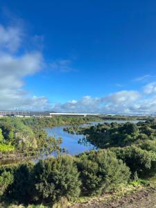 オークランドにあるManha Hotel Auckland Airportの木々の川の空中