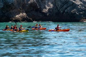 un gruppo di persone che fanno kayak su un corpo d'acqua di Four Points by Sheraton Sesimbra a Sesimbra