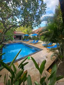 una piscina in un resort con sedie blu e alberi di Indigo Bungalows a Gili Trawangan