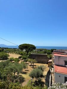 a view of a field with trees and a building at Villa Mazza al Vesuvio in Torre del Greco