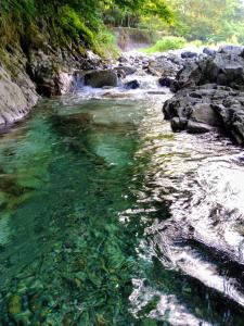 un río con agua verde, rocas y árboles en Mominoki Lodgeモミの木ロッジ, en Minakami