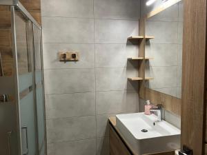 Bilik mandi di Apartmány Vila Vlasta Vysoké Tatry