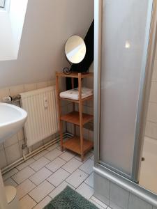 Zentrales Nest in Heidelberg tesisinde bir banyo